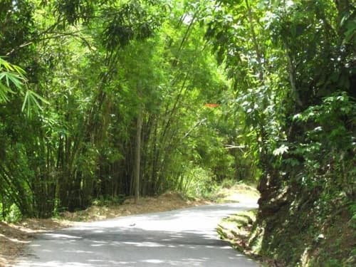 Amanecer: A Retreat and Spa, 