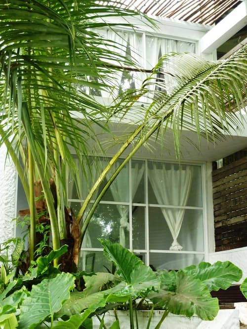 Bliss Hotel, View from room