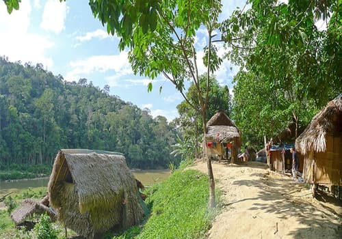 Xcape Resort at Taman Negara, Ecotours