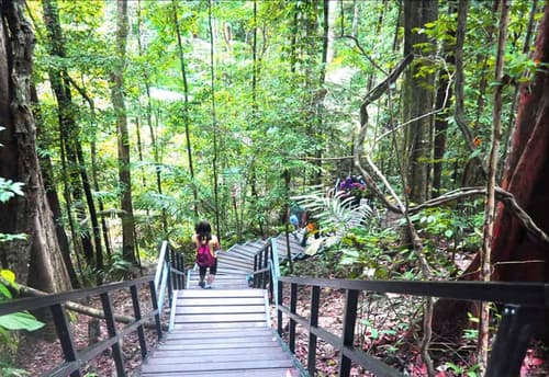 Xcape Resort at Taman Negara, Exterior