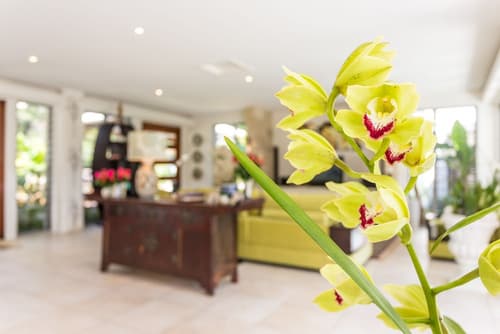 Alaya Verde, Interior entrance