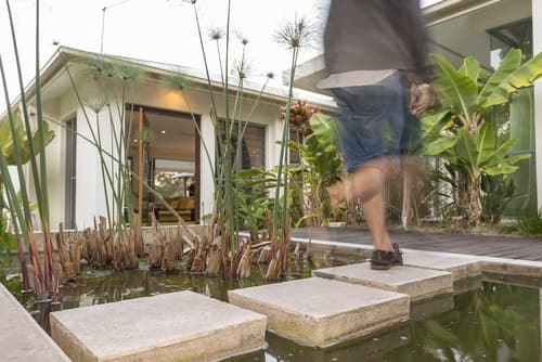 Alaya Verde, Reception