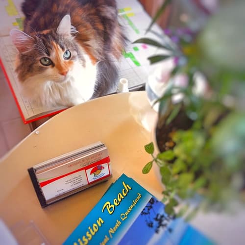 Mission Reef Resort, Reception