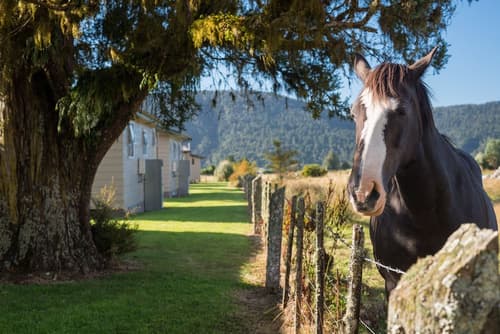 Fox Glacier TOP 10 Holiday Park & Motels, Property grounds