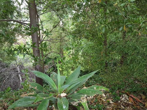 Wilsons Promontory Motel, Property grounds
