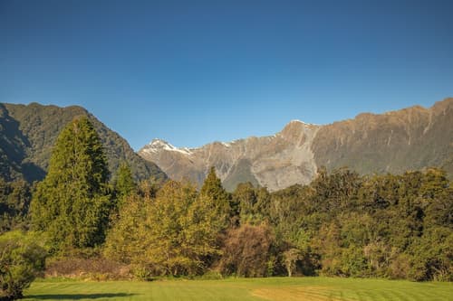 Rainforest Motel, View from room
