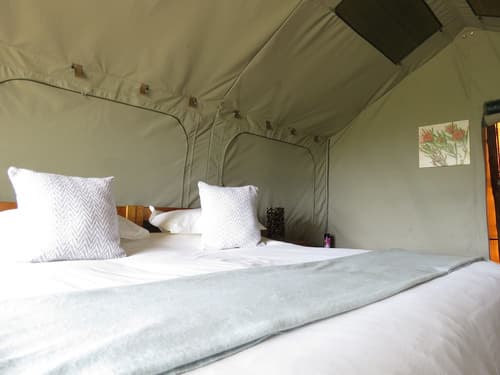 Woodbury Tented Camp - Amakhala Game Reserve, Room