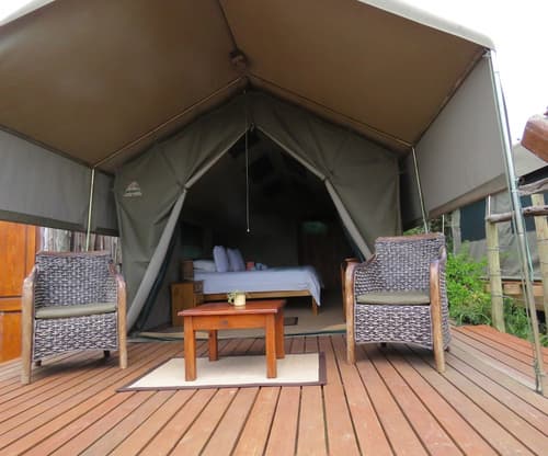 Woodbury Tented Camp - Amakhala Game Reserve, Room