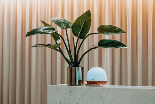 Clarion Hotel Townsville, Lobby