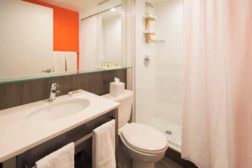 Bklyn House, Bathroom