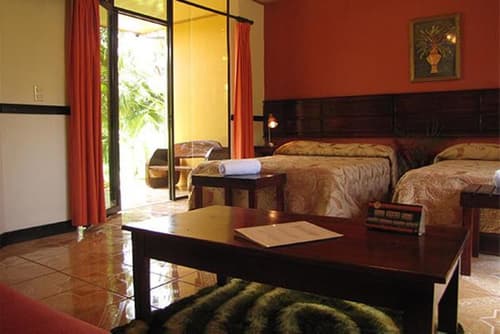 Ara Ambigua Lodge, Room