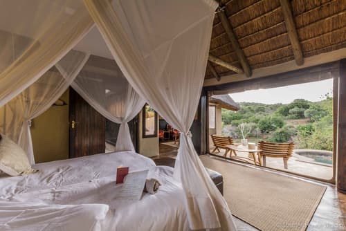 Safari Lodge - Amakhala Game Reserve, Room