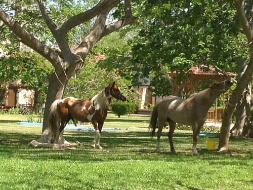 Hacienda San Francisco, Property amenity