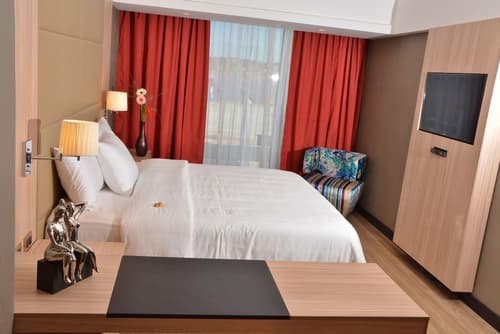 Savoy Hotel Encarnación, Room