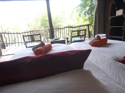 Caprivi Houseboat Safari Lodge, Room