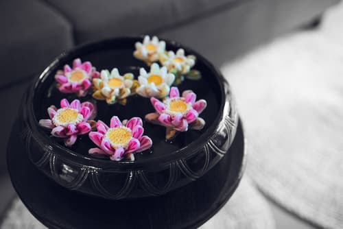 Ladear Angkor Boutique Hotel, Reception