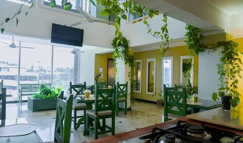 Hotel Checkin El Cortecito, Reception