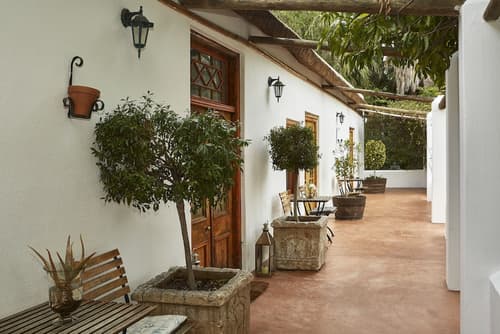 Yellow Aloe Guesthouse, Room