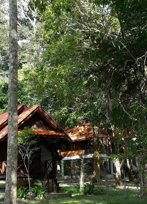 Joy Bungalow, Property grounds