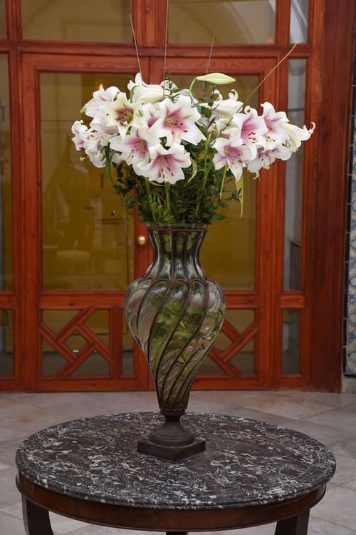 Palais Bayram, Reception