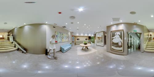 SH Colon Valencia Hotel, Reception