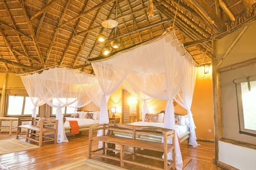 Aardvark Safari Lodge, Room