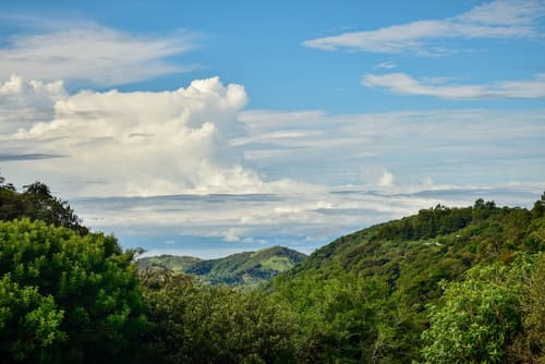 Cabinas Selva Verde, Property grounds
