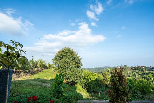Shankara Munduk Bali, Terrace/patio