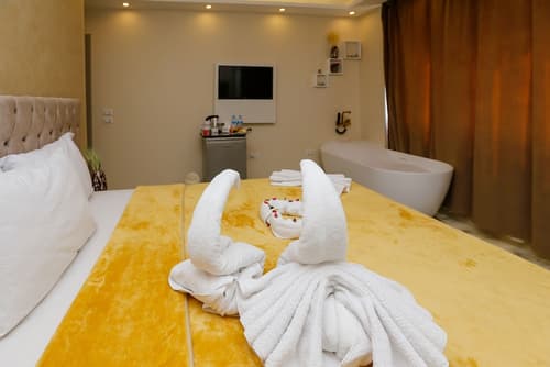 Venus Pyramids Inn, Room