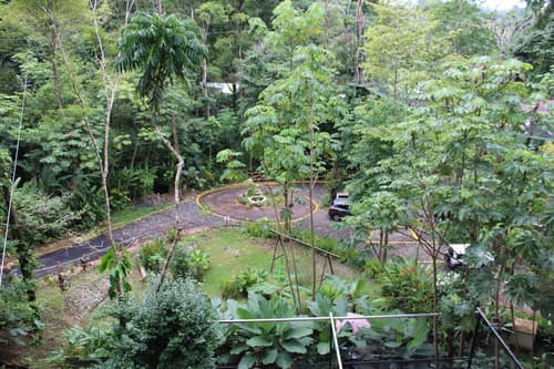 Mountain Top Park Hotel, Garden view