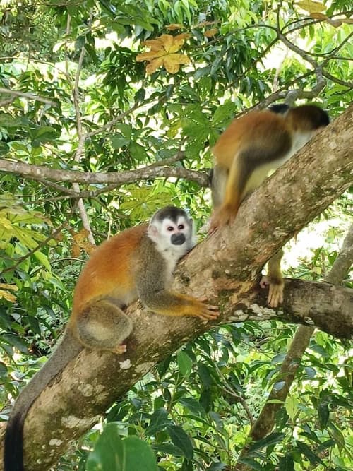 Mountain Top Park Hotel, Exterior