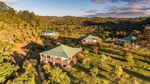 Eulophiella, Exterior