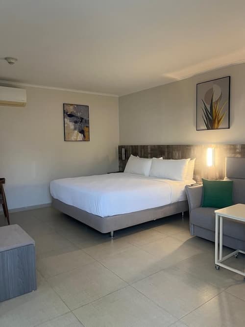 Aruba Boutique & Art Hotel, Adults Only, Room