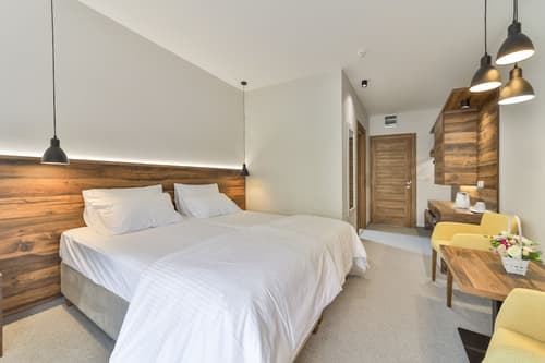 Hotel Vladimir, Room