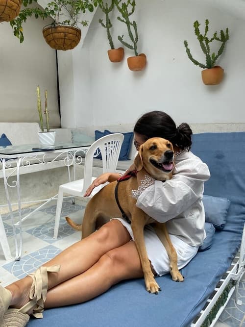 Selva Maria Hotel Boutique, Living area