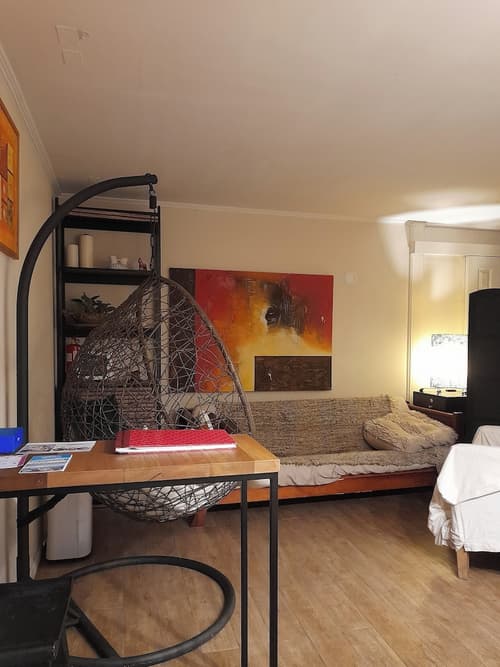 Patagonia Norte Pto.Varas Homestay, Living area