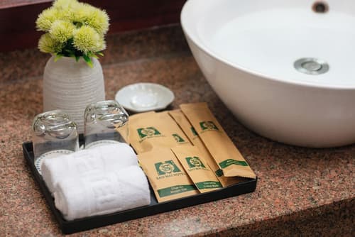 Sao Mai Boutique Hotel, Room