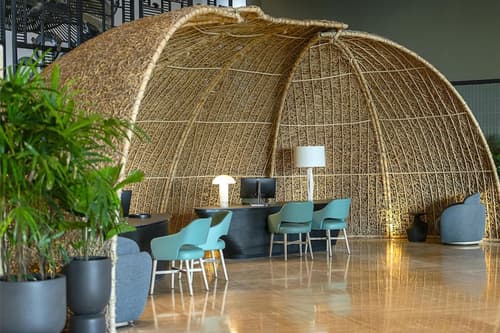 Zemi Miches Punta Cana All-Inclusive Resort, Curio by Hilton, Concierge desk