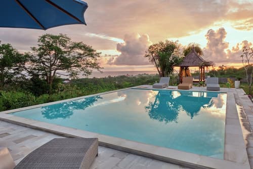 Plumeria NP, Primary image