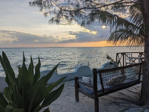 Lala Land Lodge, Terrace/patio