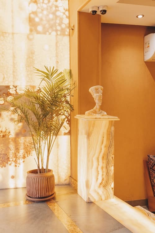 Almas Pyramids View, Reception