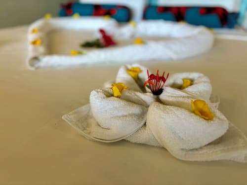 Basecamp Mafía Island, Room