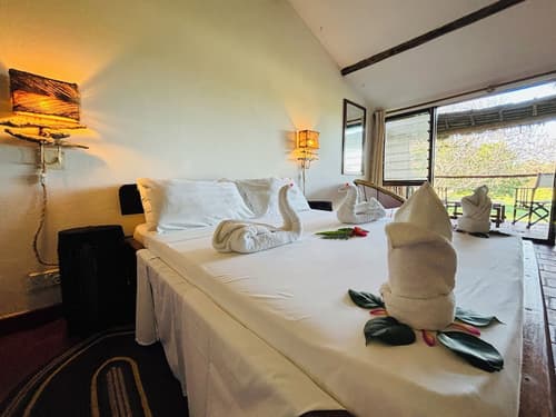 Basecamp Mafía Island, Room