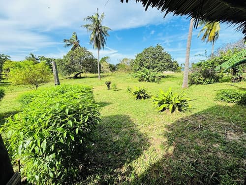 Basecamp Mafía Island, Terrace/patio