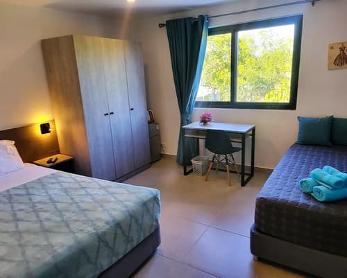 Oasis-Dream Holidays - La Petite France, Room