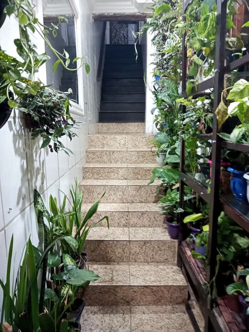 Casadalucia  Pousada, Interior entrance