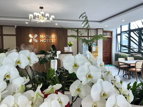 Nature Hotel - Le Hong Phong, Lobby