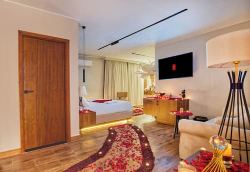 Gaia Pyramids Hotel, Room