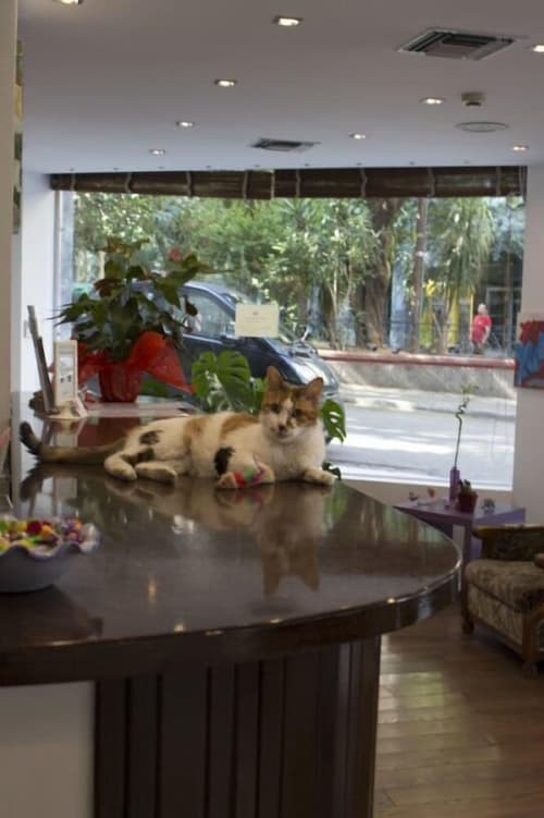 Inoh Hotel, Reception