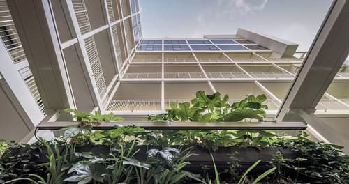 Palazzo Viridis, Primary image